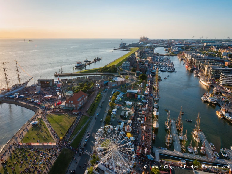 IMG_5909-780x585 (5)