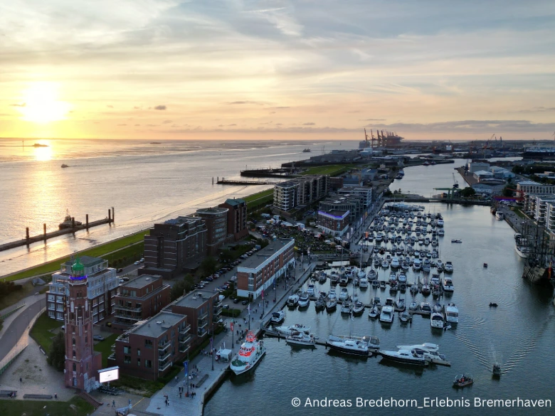 IMG_5909-780x585 (6)